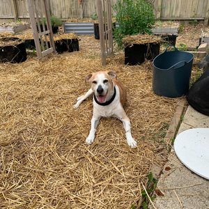 Meet your Posher, Cheri